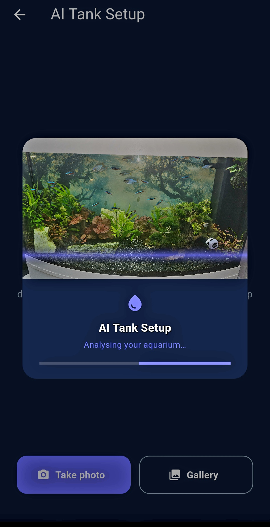 Optional AI-assisted setup