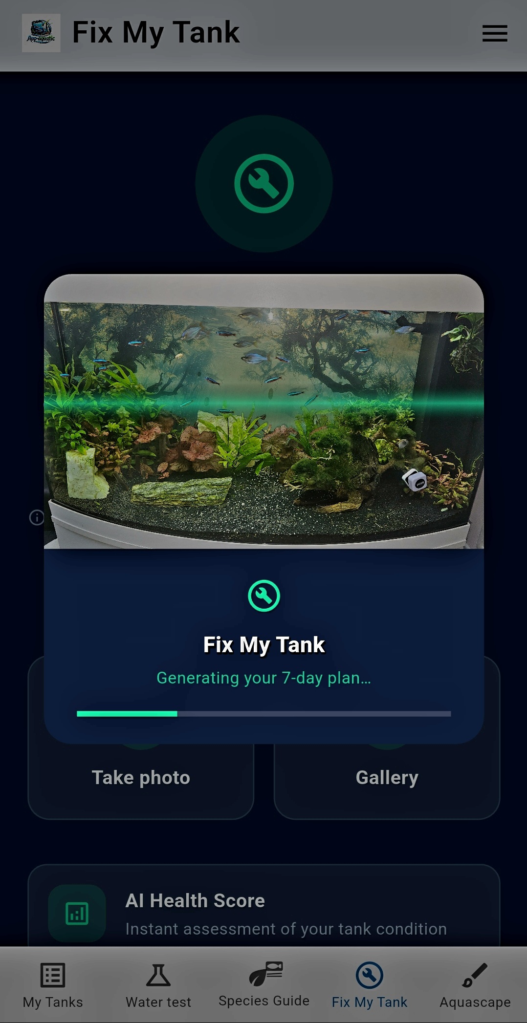 Fix my tank setup