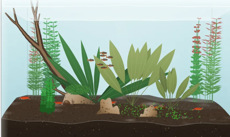 Ein Aquascape im Nature-Stil, gestaltet mit dem Aquascape-Planer von App-aquatic, mit Wurzelholz, Steinen, Stängelpflanzen und einem Bodendecker